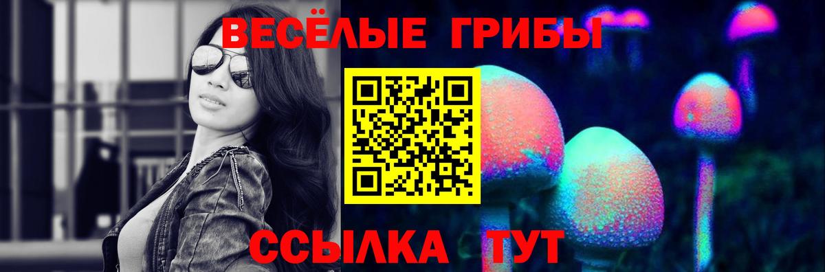 продажа наркотиков  Вход с VPN  Псилоцибиновые грибы MAGIC MUSHROOMS  Вичуга  Псилоцибиновые грибы GOLDEN TEACHER 